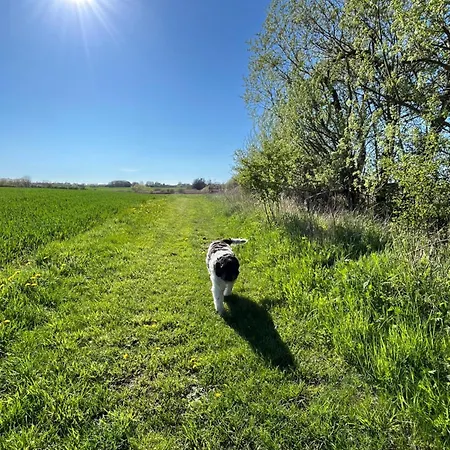 Grubbe Molle, Med Eget Kokken Og Bad 3*