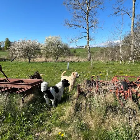Grubbe Molle, Med Eget Kokken Og Bad 住宿加早餐酒店