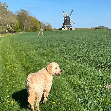 Grubbe Molle, Med Eget Kokken Og Bad Bed and breakfast 3*