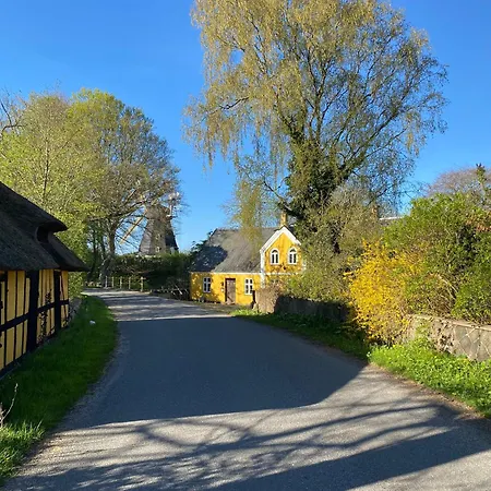 Grubbe Molle Bed & Breakfast Faaborg