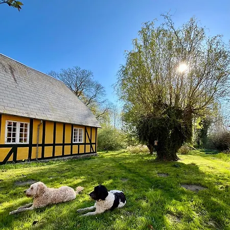 住宿加早餐酒店 Grubbe Molle, Med Eget Kokken Og Bad