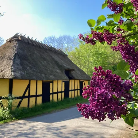 Grubbe Molle Bed & Breakfast Faaborg