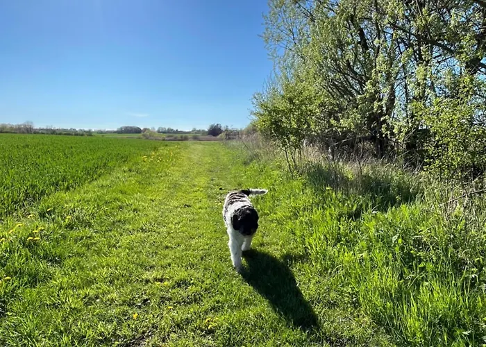 Grubbe Molle, Med Eget Kokken Og Bad 3*