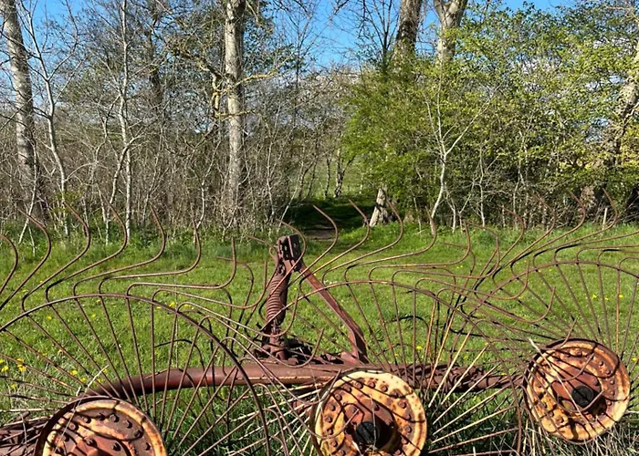 Grubbe Molle, Med Eget Kokken Og Bad