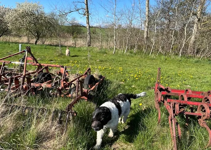 Couette-café Grubbe Molle, Med Eget Kokken Og Bad Fåborg