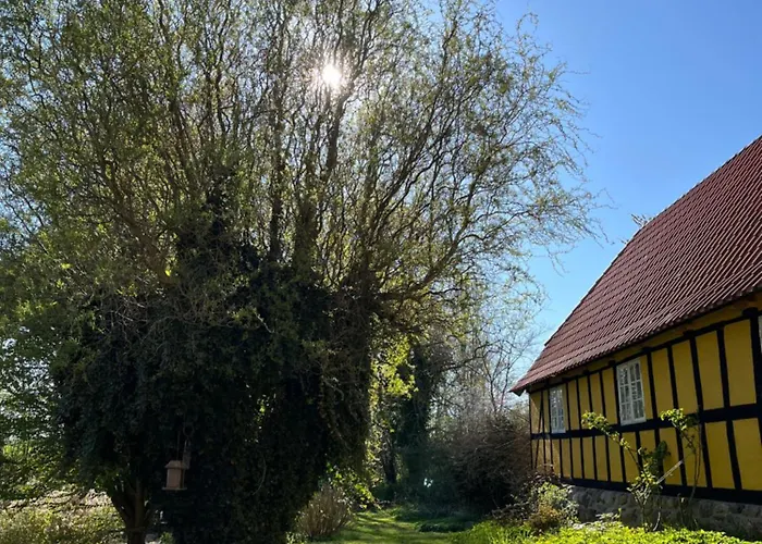 Grubbe Molle, Med Eget Kokken Og Bad 3*