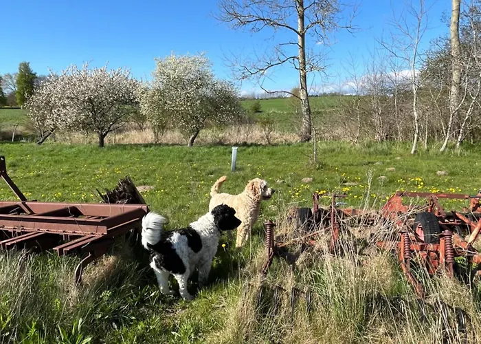 Grubbe Molle, Med Eget Kokken Og Bad Couette-café