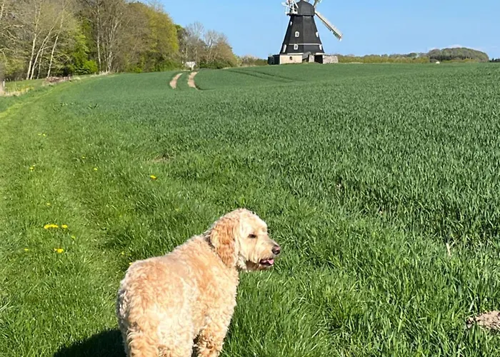 Grubbe Molle, Med Eget Kokken Og Bad Couette-café 3*