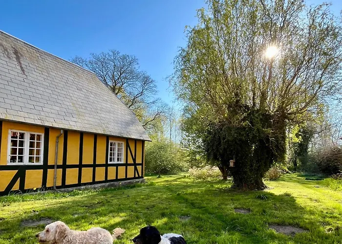 Bed and breakfast Grubbe Molle, Med Eget Kokken Og Bad