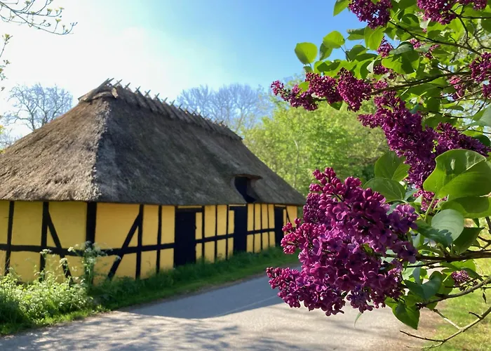 Grubbe Molle, Med Eget Kokken Og Bad Bed and breakfast Fåborg