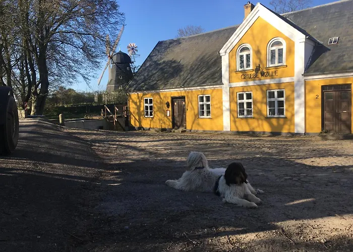 Grubbe Molle, Med Eget Kokken Og Bad Fåborg