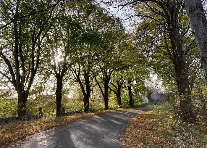 Couette-café Grubbe Molle, Med Eget Kokken Og Bad Fåborg